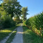 Namastay Kussaberg